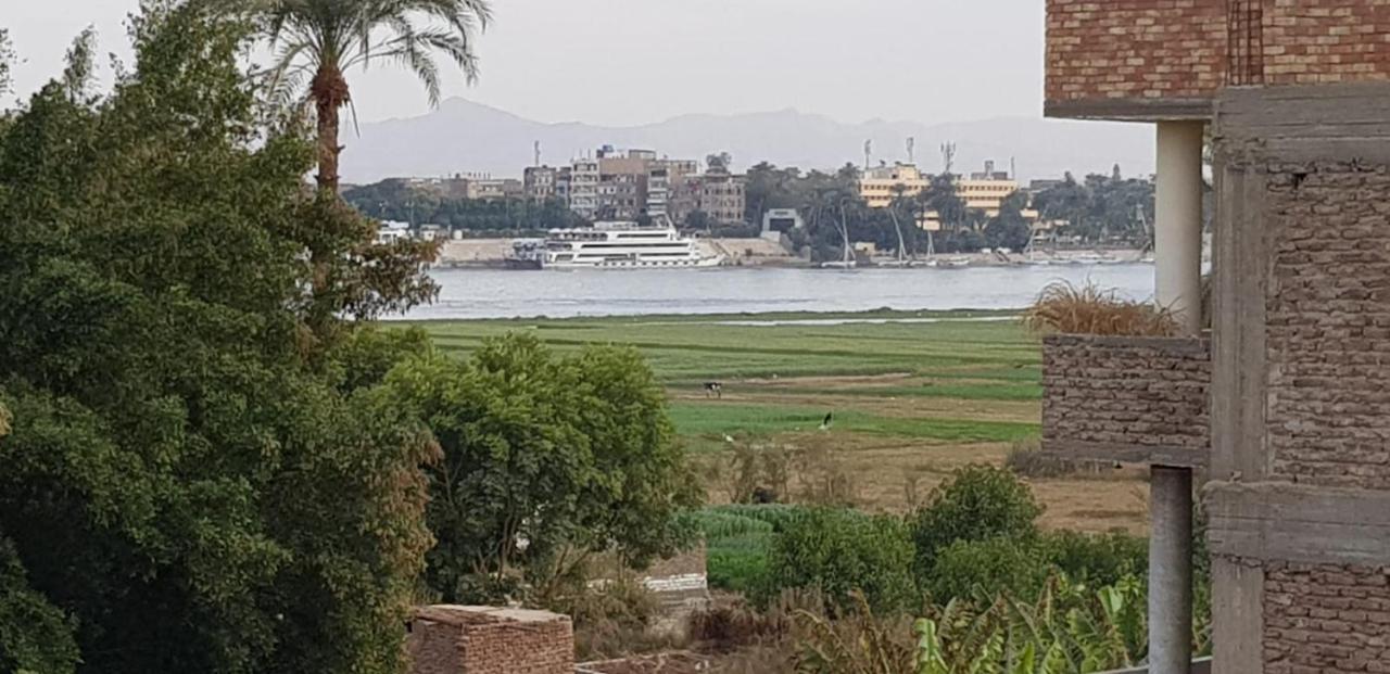 One Love Guesthouse & Restaurant Luxor Exterior foto